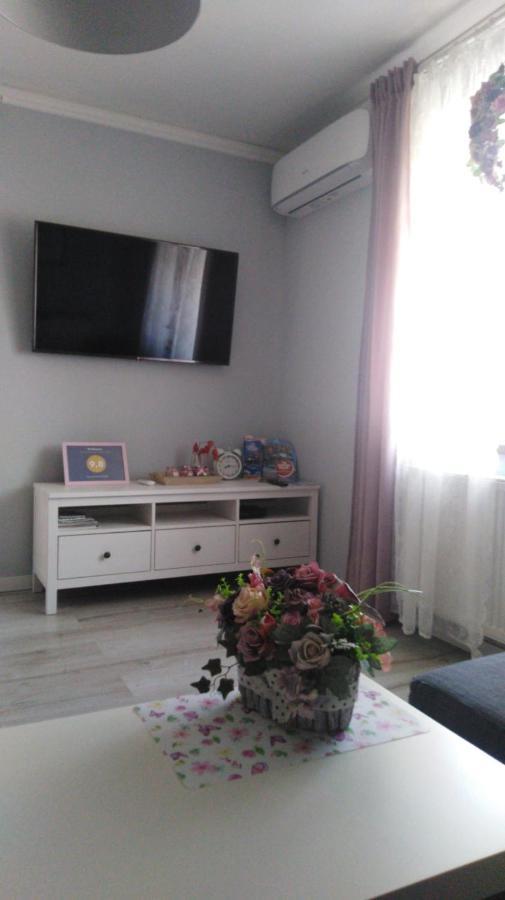 Apartament Antek klimatyzowany Oświęcim Zewnętrze zdjęcie
